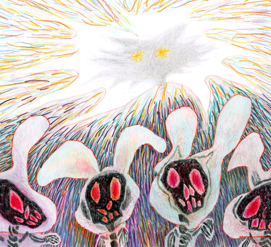 Ala Flora / 2020 / Zawiesina / graduation project / colored pencils book illustration / explosion